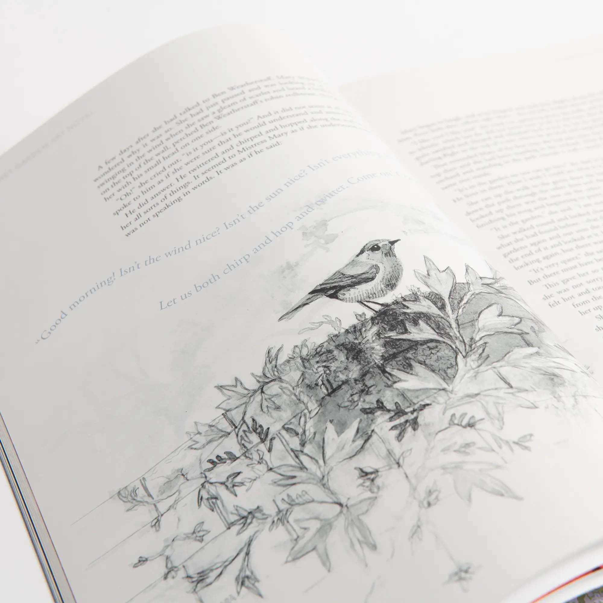 The Secret Garden Art Novel™