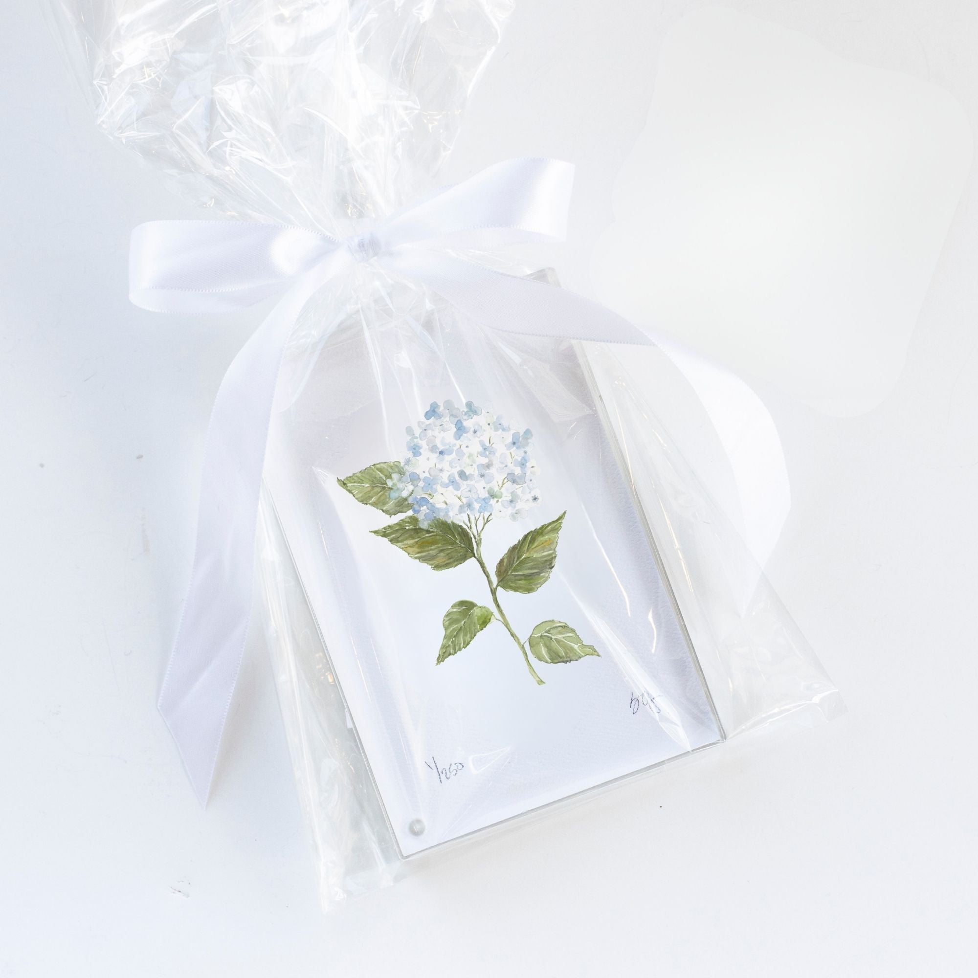 4x6 Acrylic Framed Hydrangea Print No. 2 By Susan Gordon