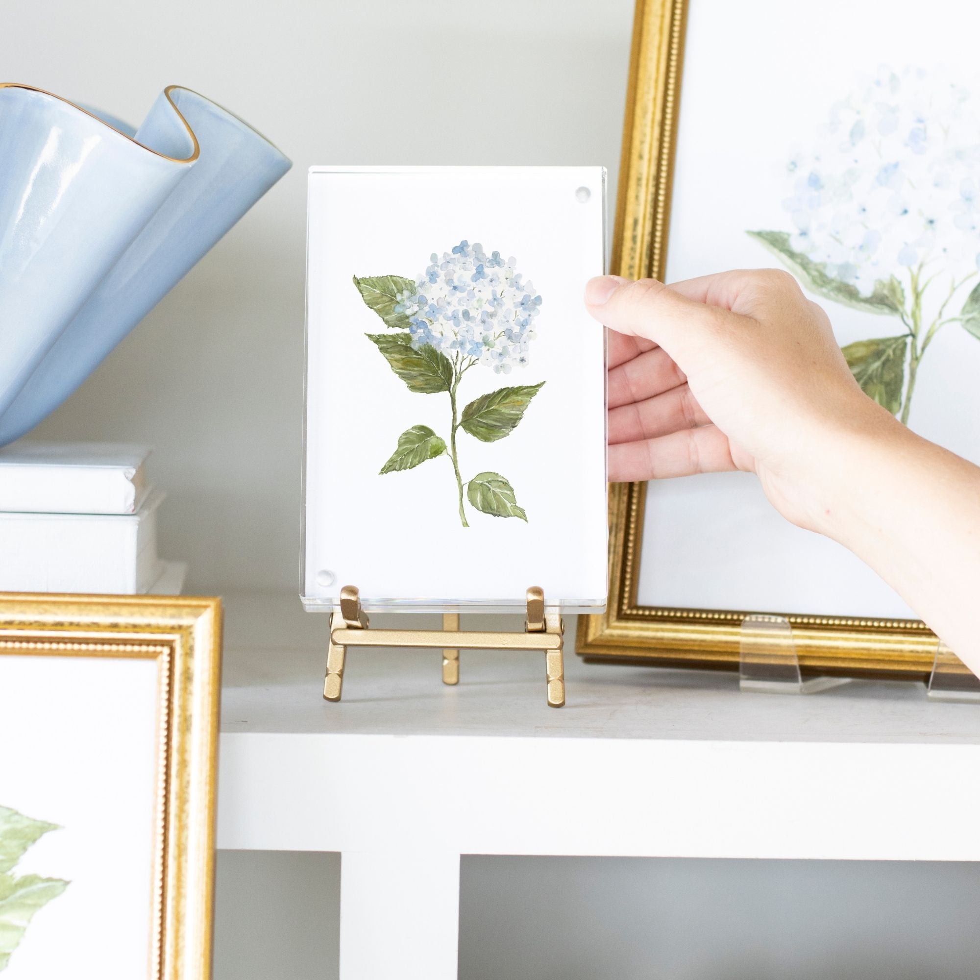 4x6 Acrylic Framed Hydrangea Print No. 2 By Susan Gordon