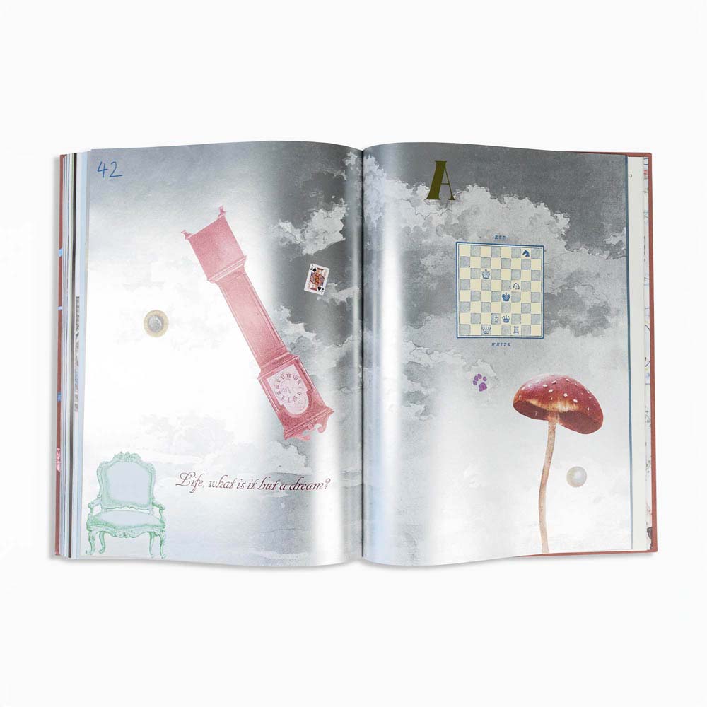 Alice in Wonderland Art Novel™
