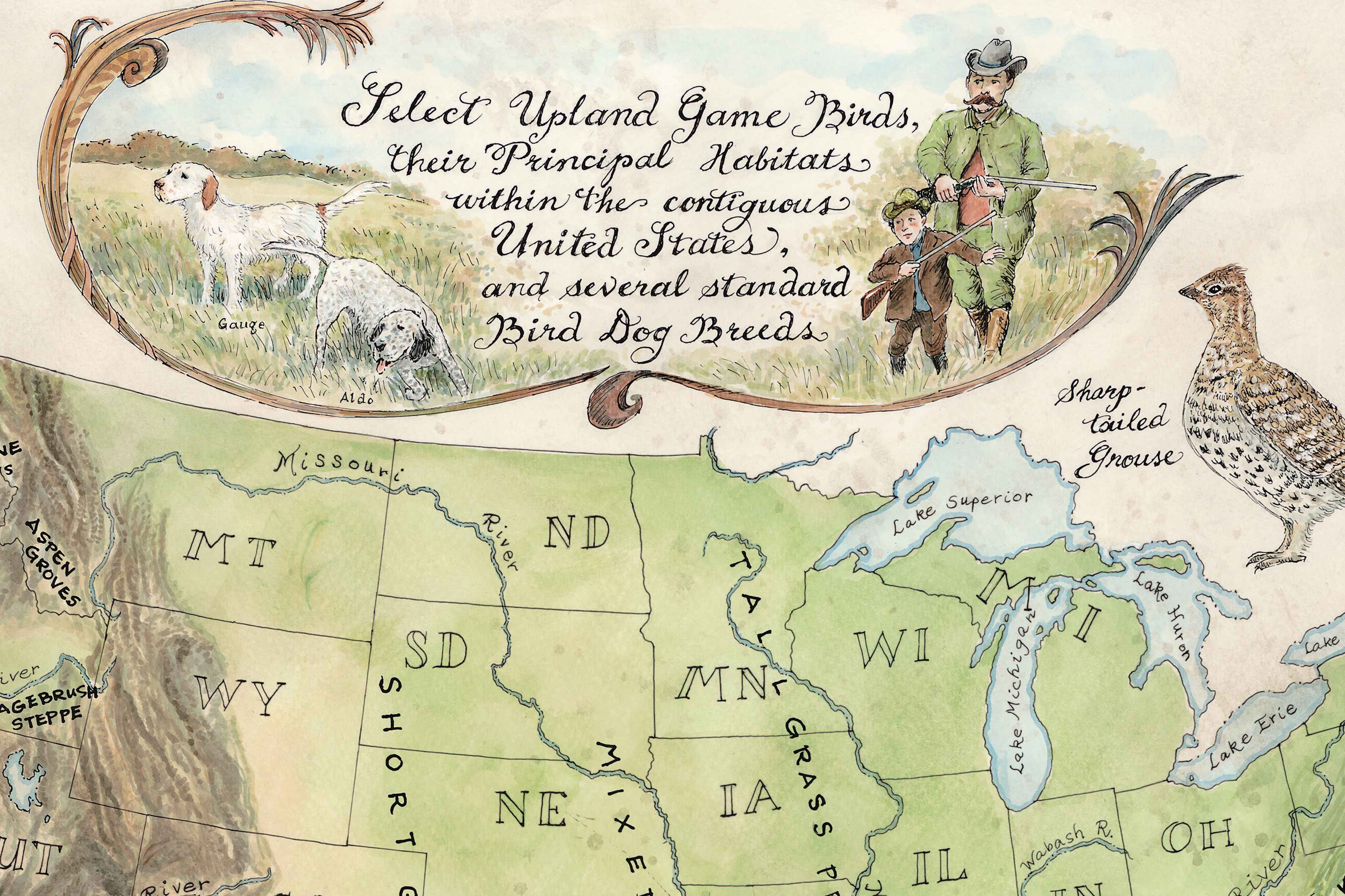 Map of the United States with game birds and hunting scene, featuring text about upland game birds and bird dog breeds.