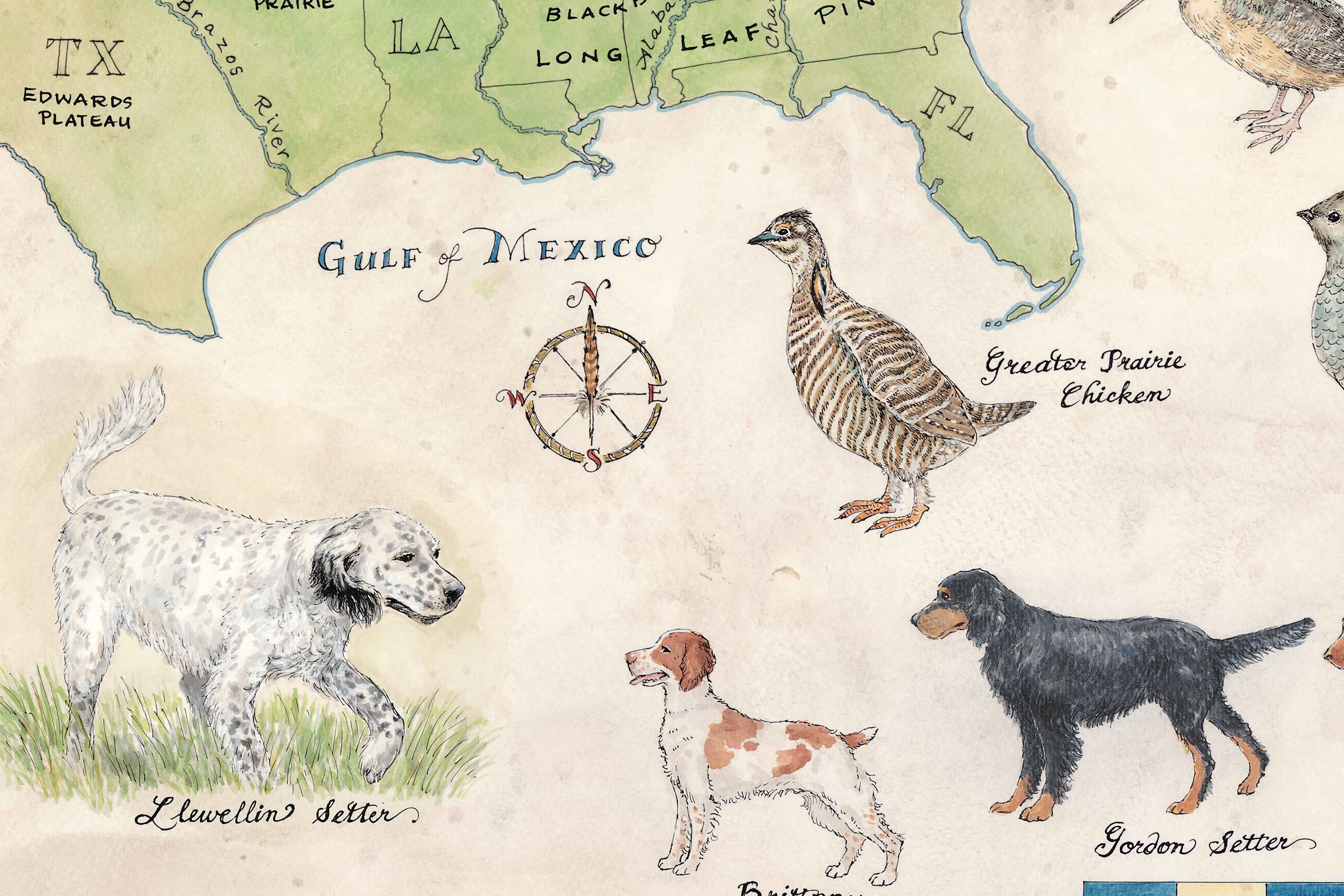 Map of Texas with illustrations of dogs, a bird, and text labels on a beige background.