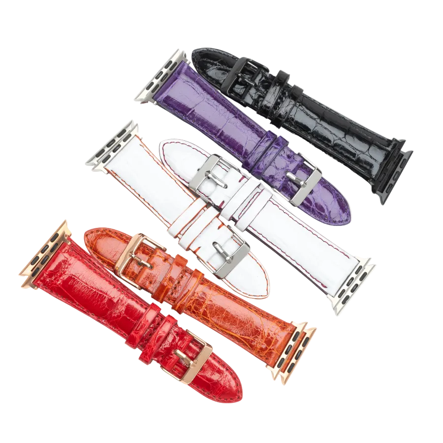 Roubaix Apple Wrist Watch Band