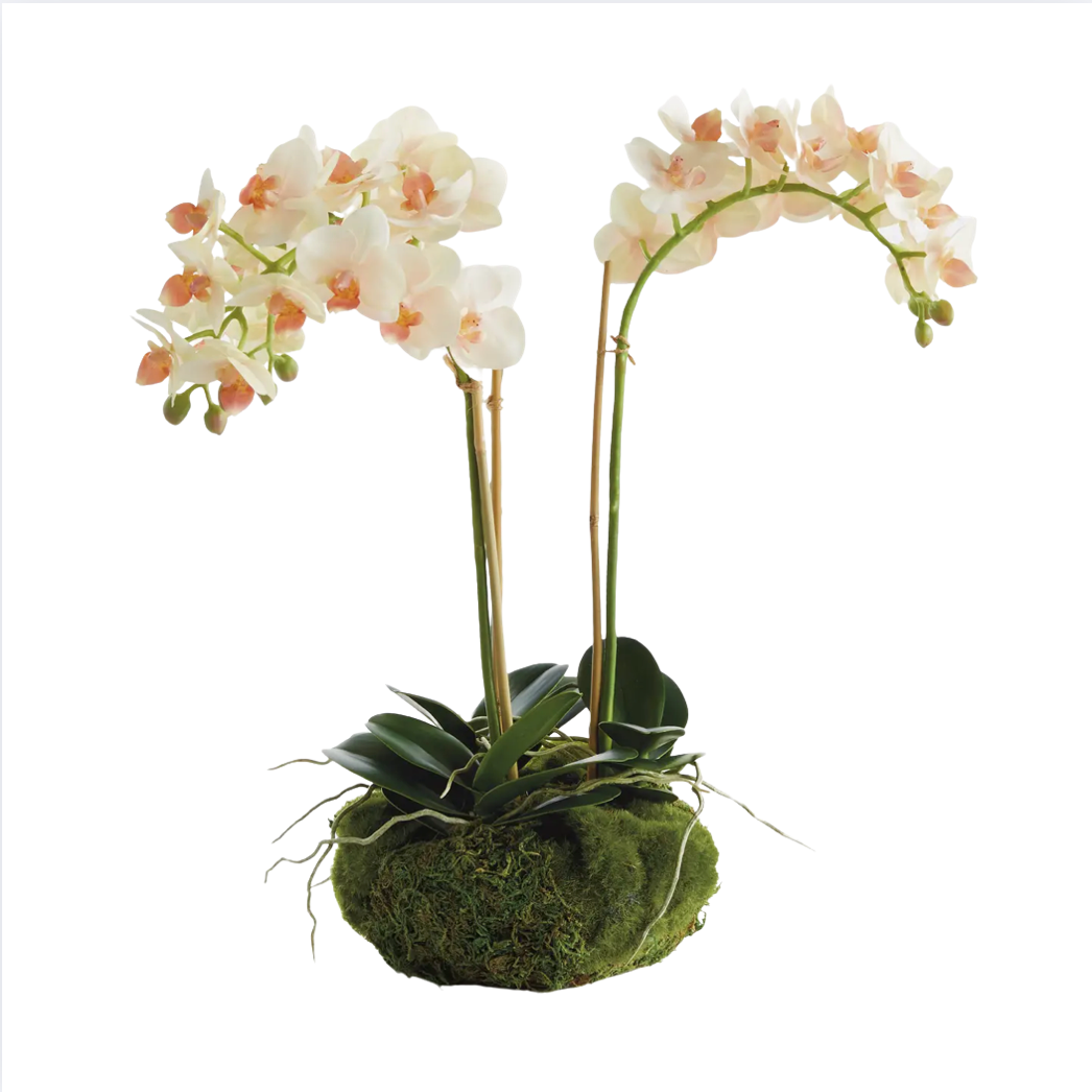 16" Faux Orchid Drop-In - Peach