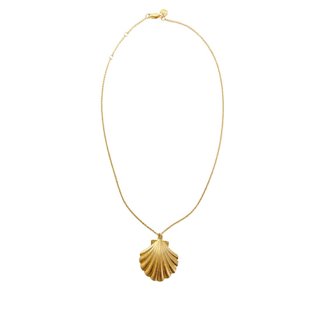 Ocean Shell Pendant Necklace