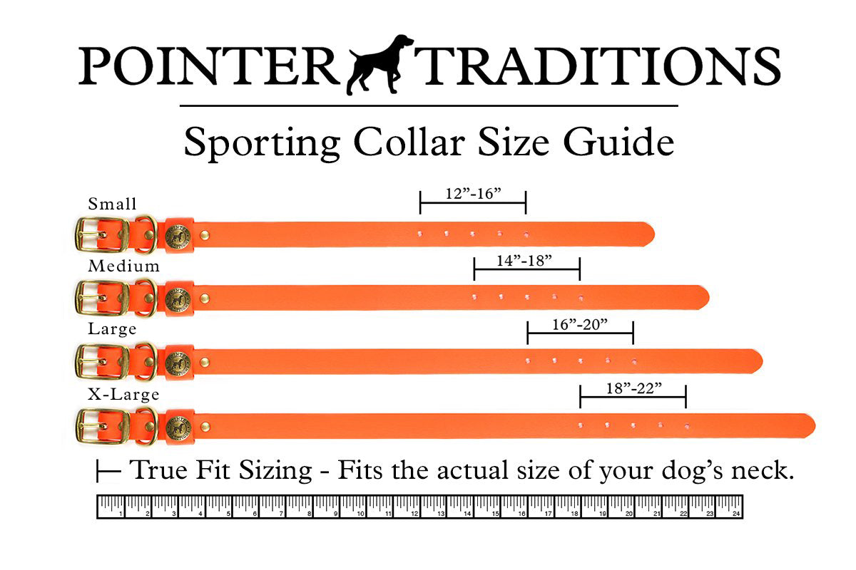 Sporting Dog Collar