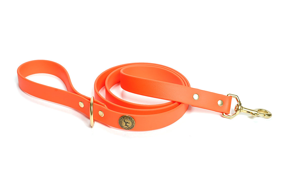 Sporting Dog Leash