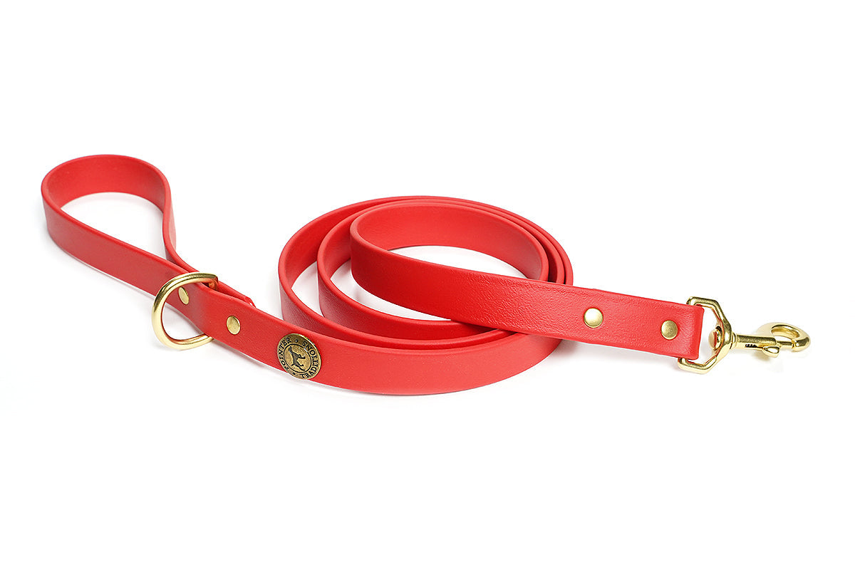 Sporting Dog Leash