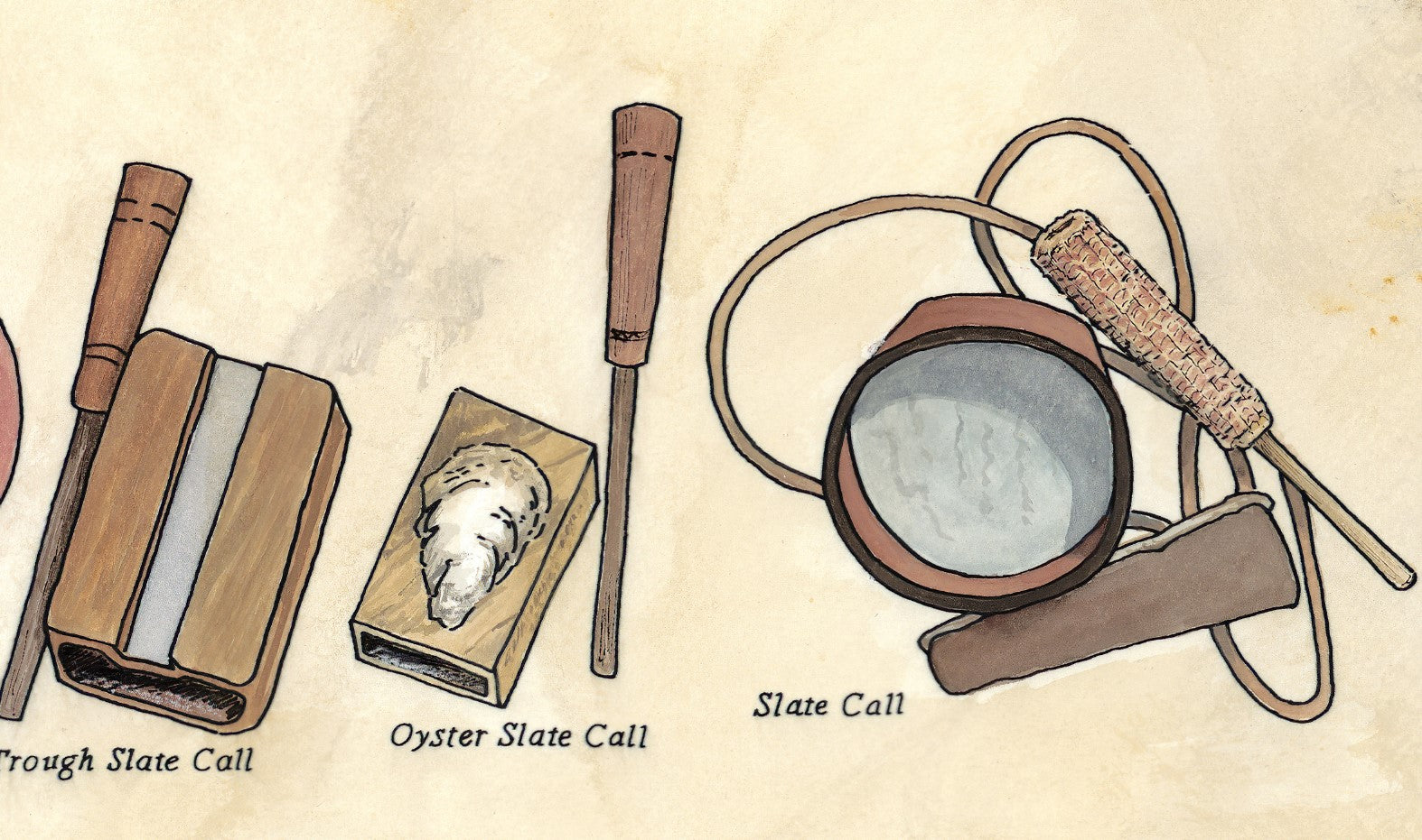 Illustration of various shellfish calls on a beige background
