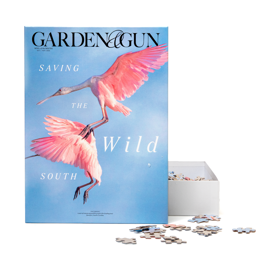 Saving the Wild South Puzzle