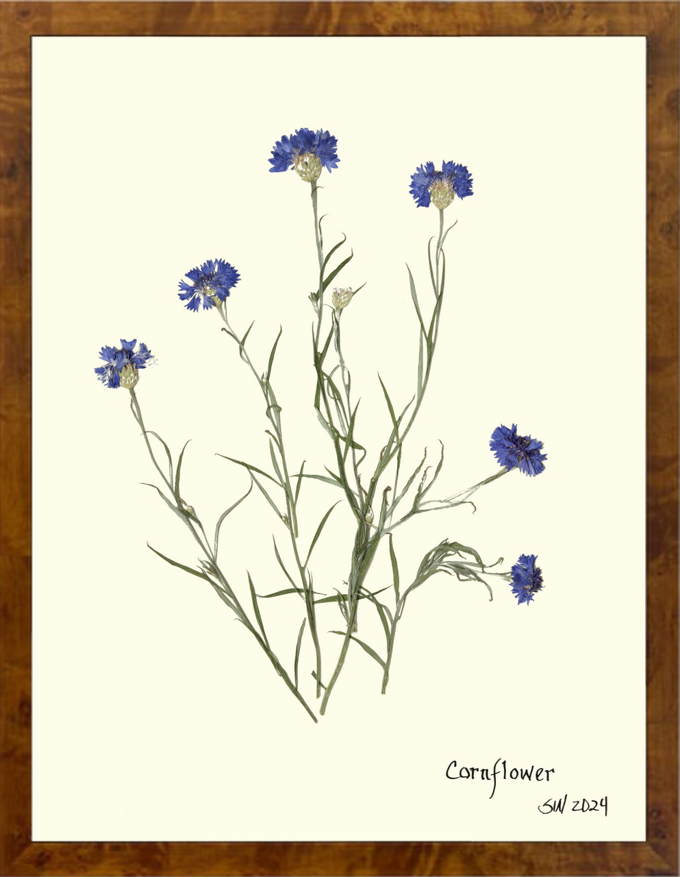 Hand-Pressed Southern Flora