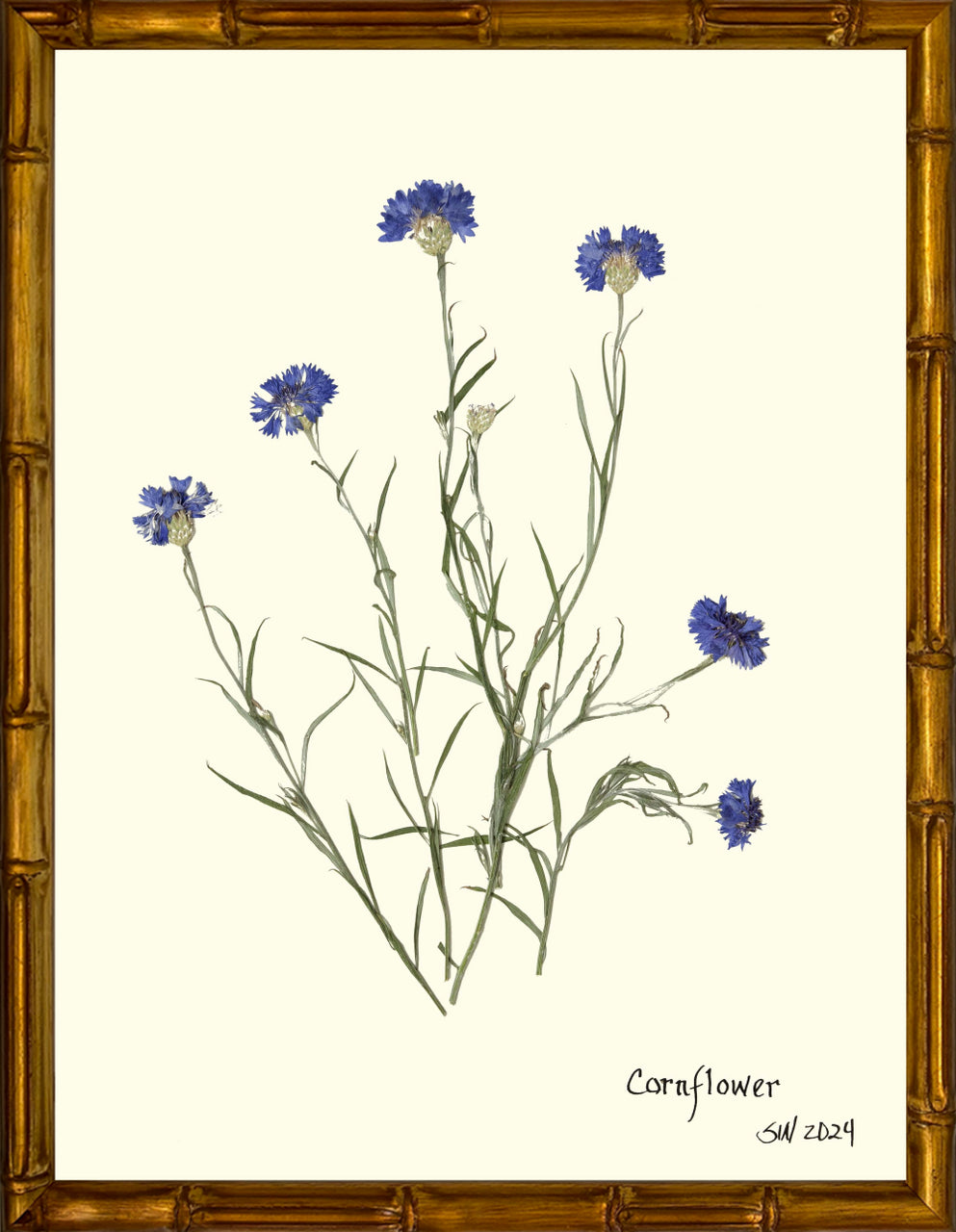 Hand-Pressed Southern Flora