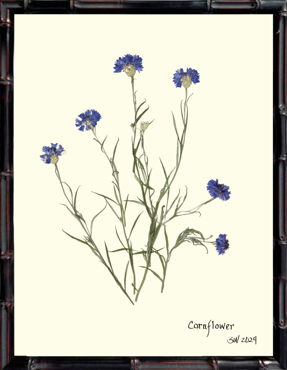 Hand-Pressed Southern Flora