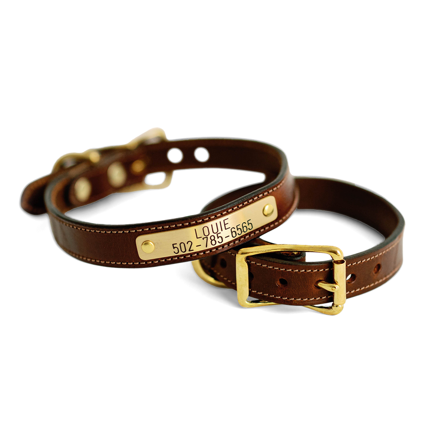 Nameplate Dog Collar