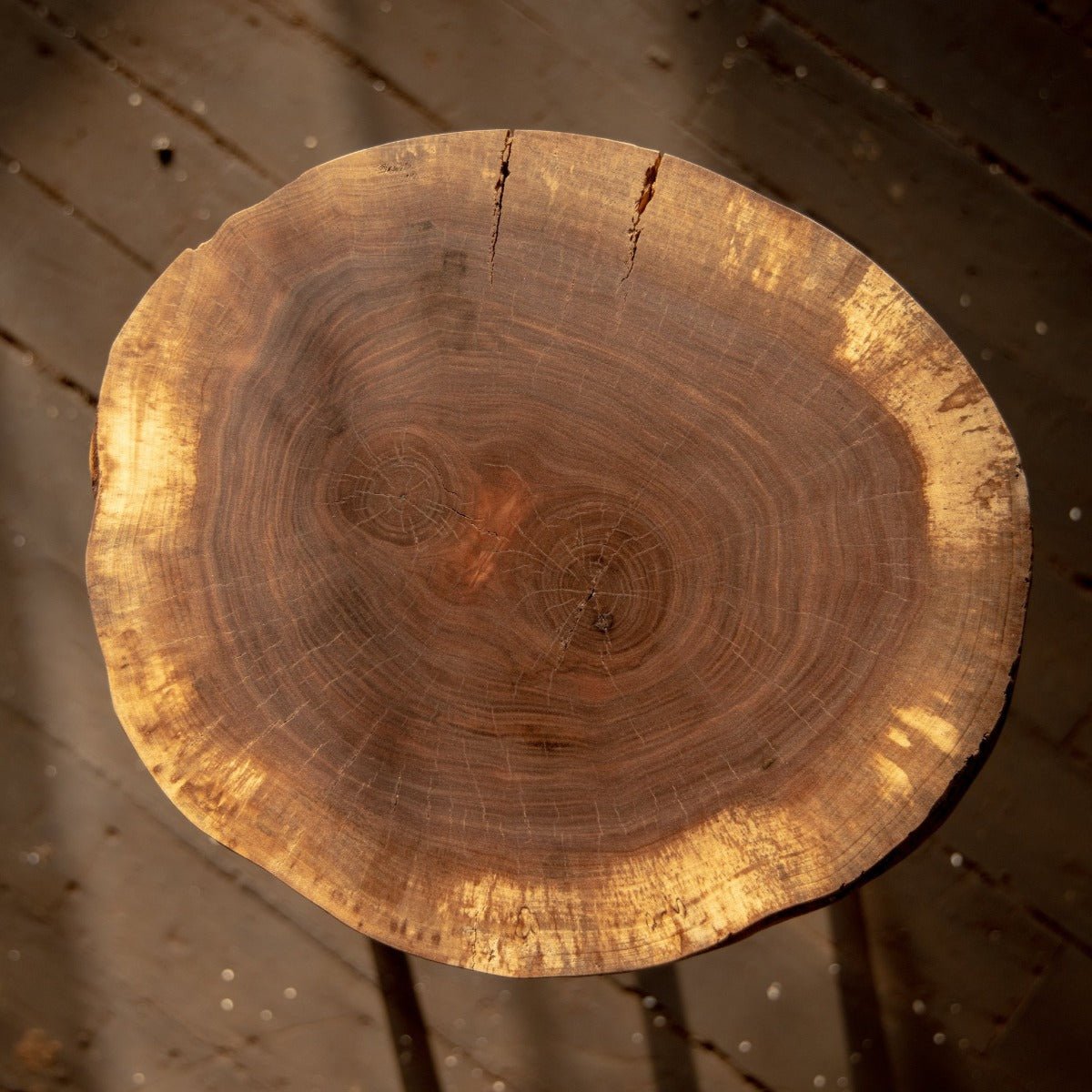 Live Edge Round Side Table | Fossil Table