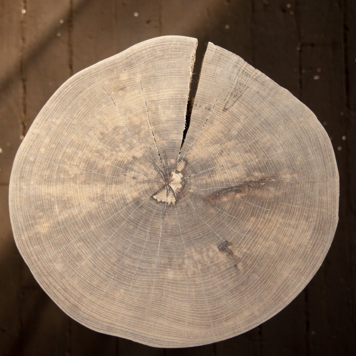 Live Edge Round Side Table | Fossil Table