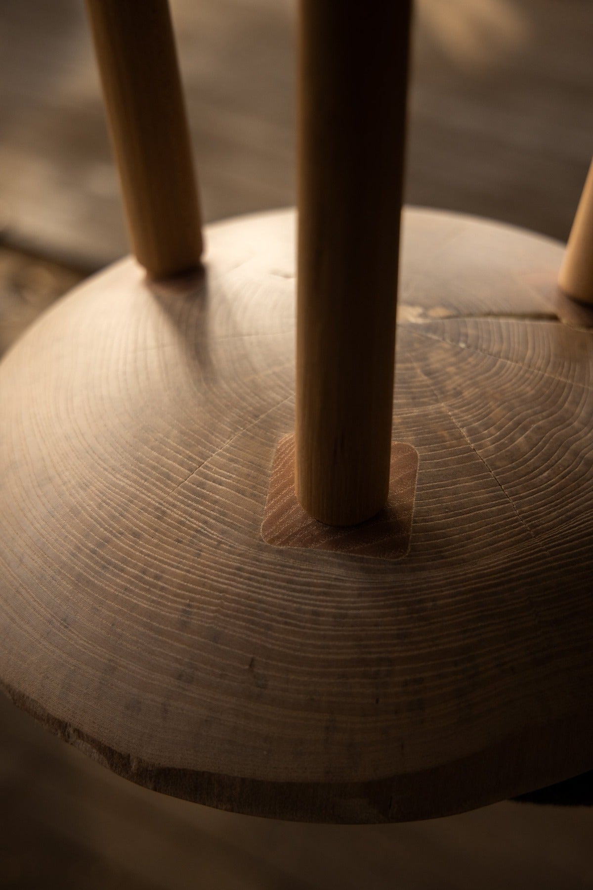 Live Edge Round Side Table | Fossil Table