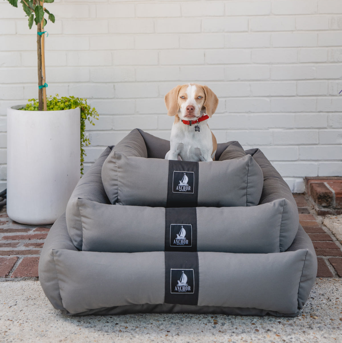 Stowaway Bed