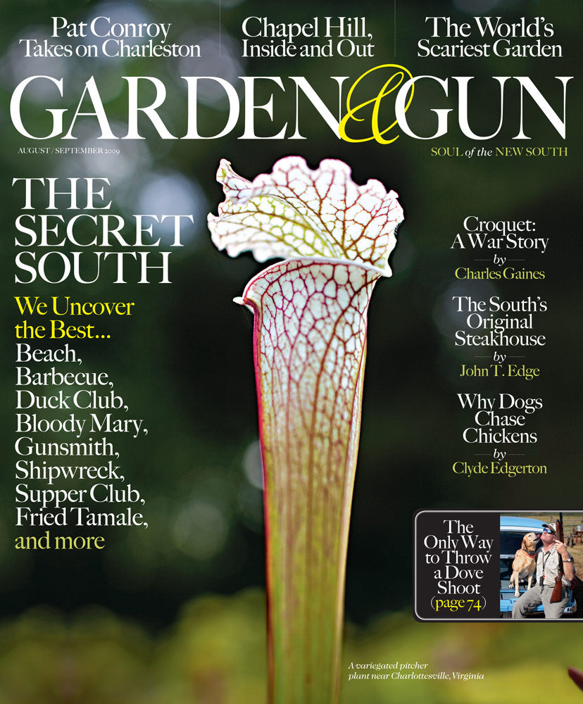 August / September 2009