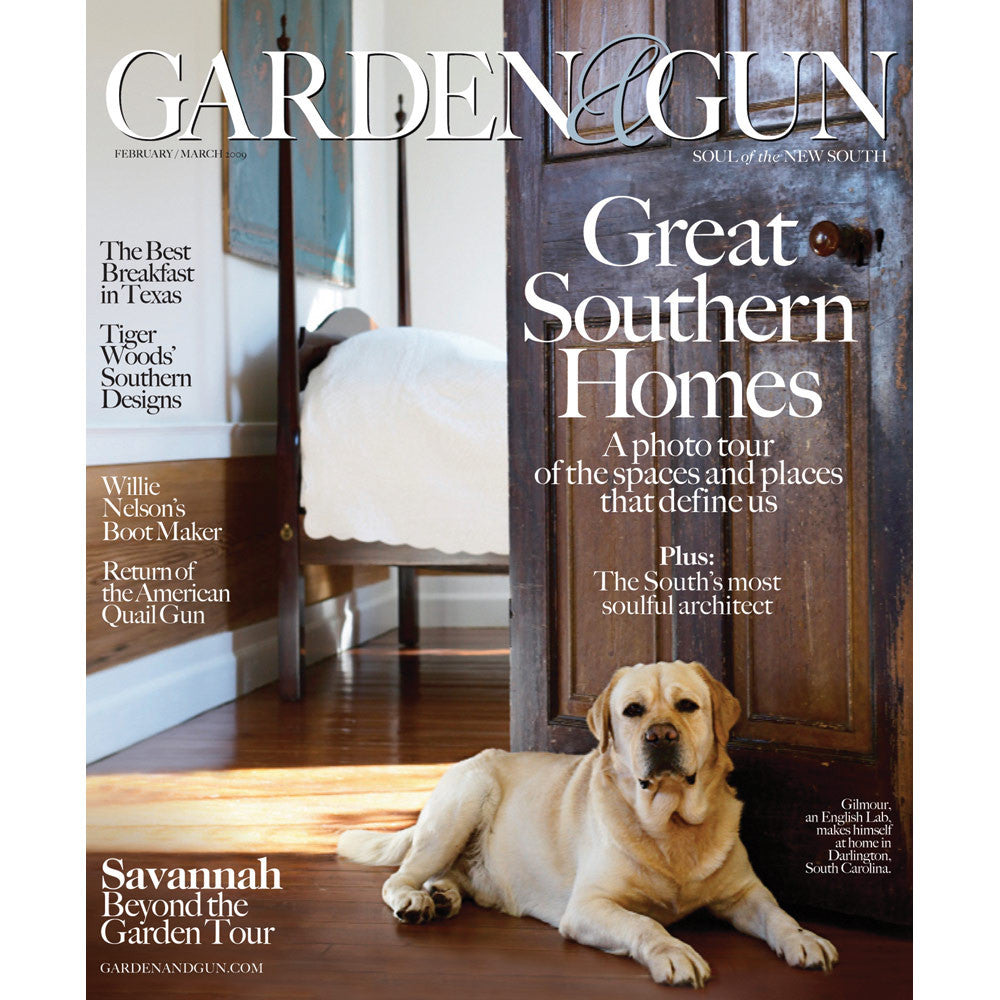 February / March 2009