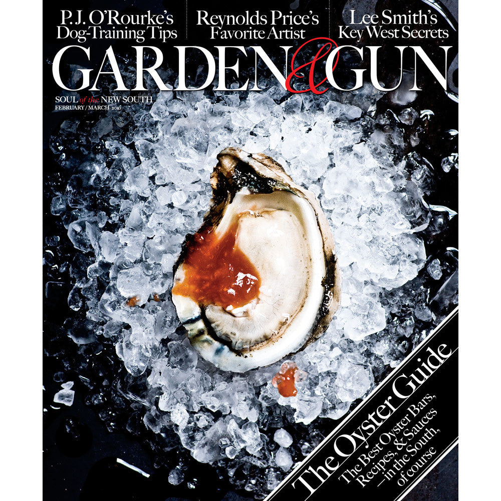 February / March 2010