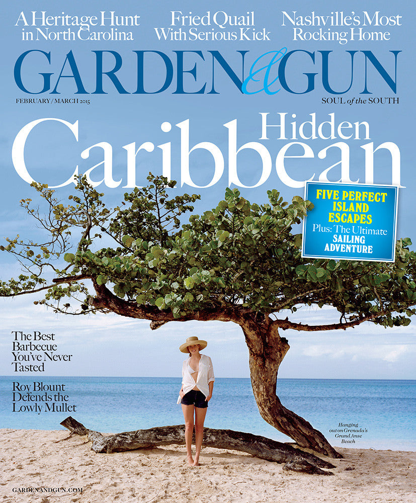 February / March 2015