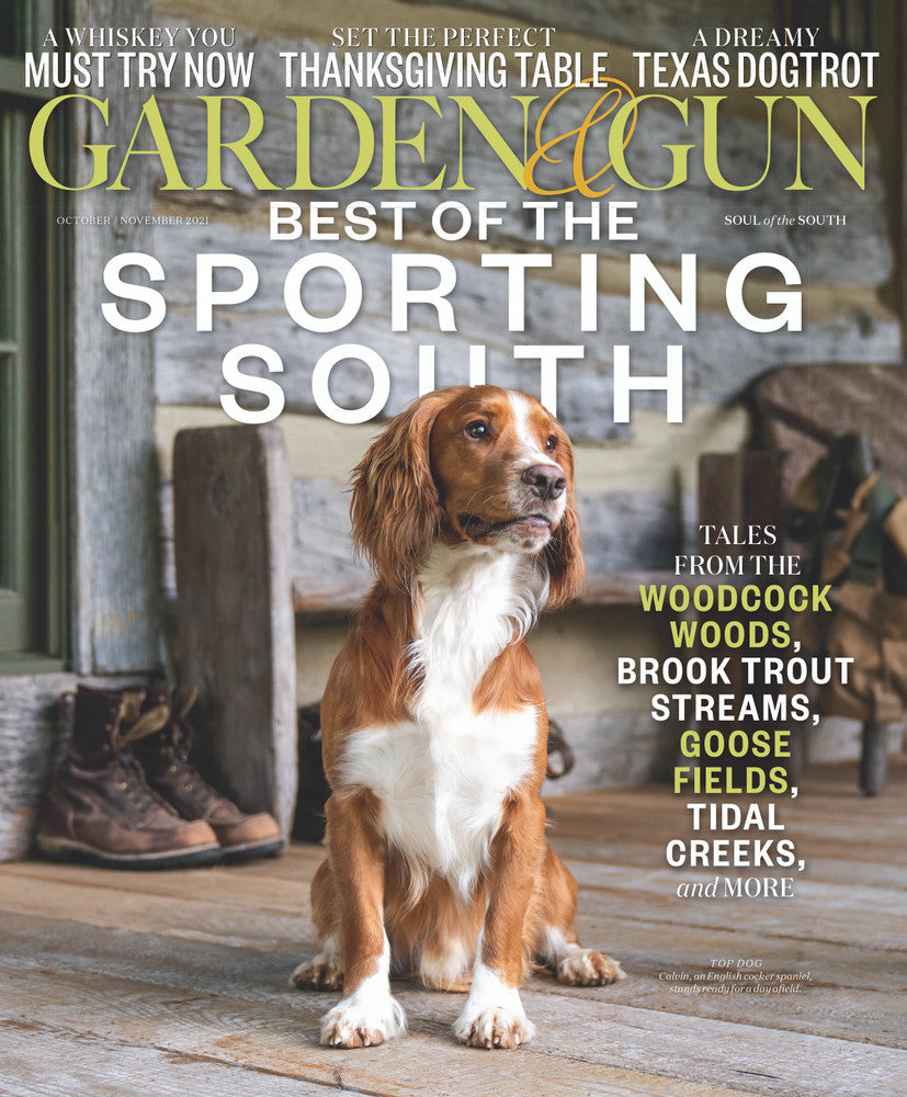 October / November 2021