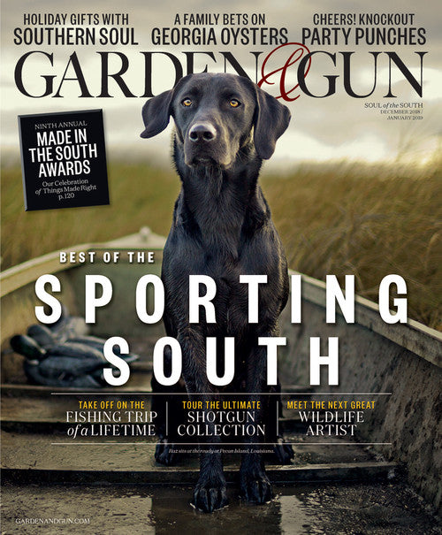 December 2018 / January 2019