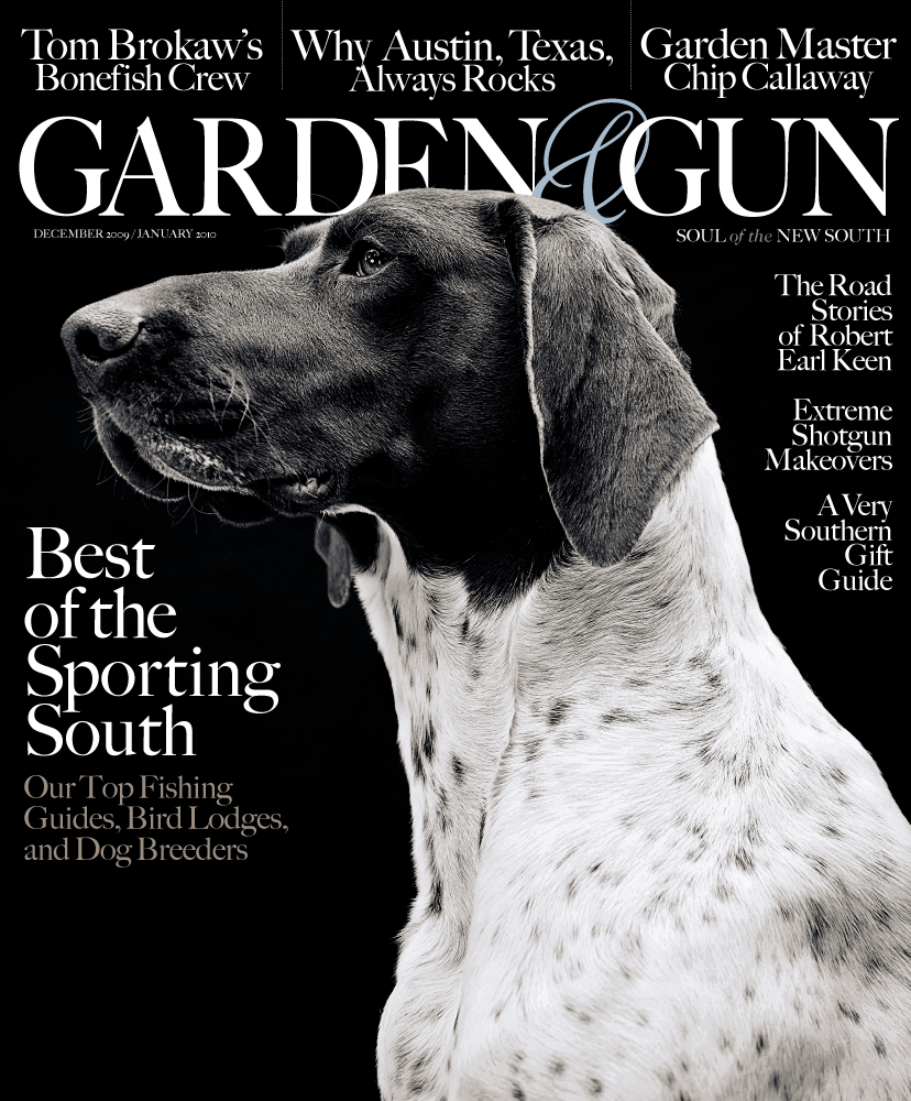 December 2009 / January 2010