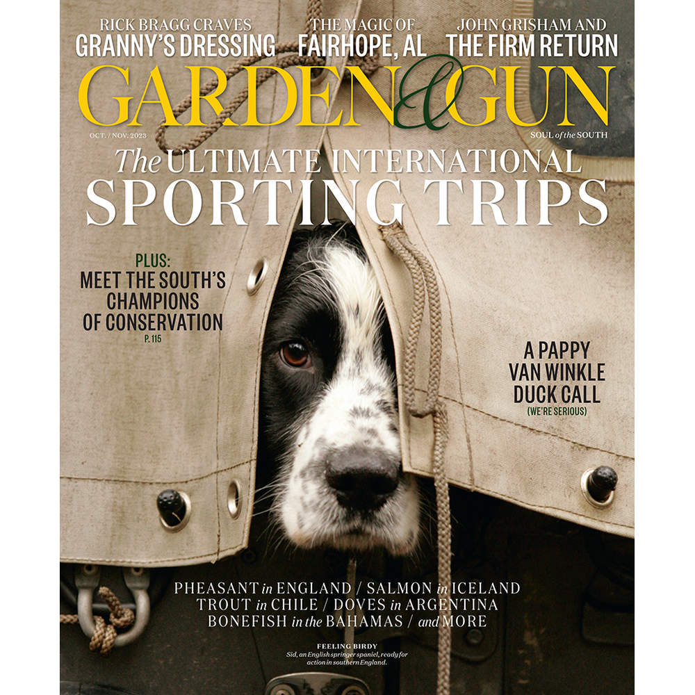 October / November 2023