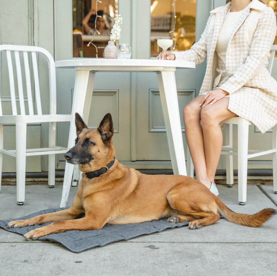 Excursion & Pet Accessories