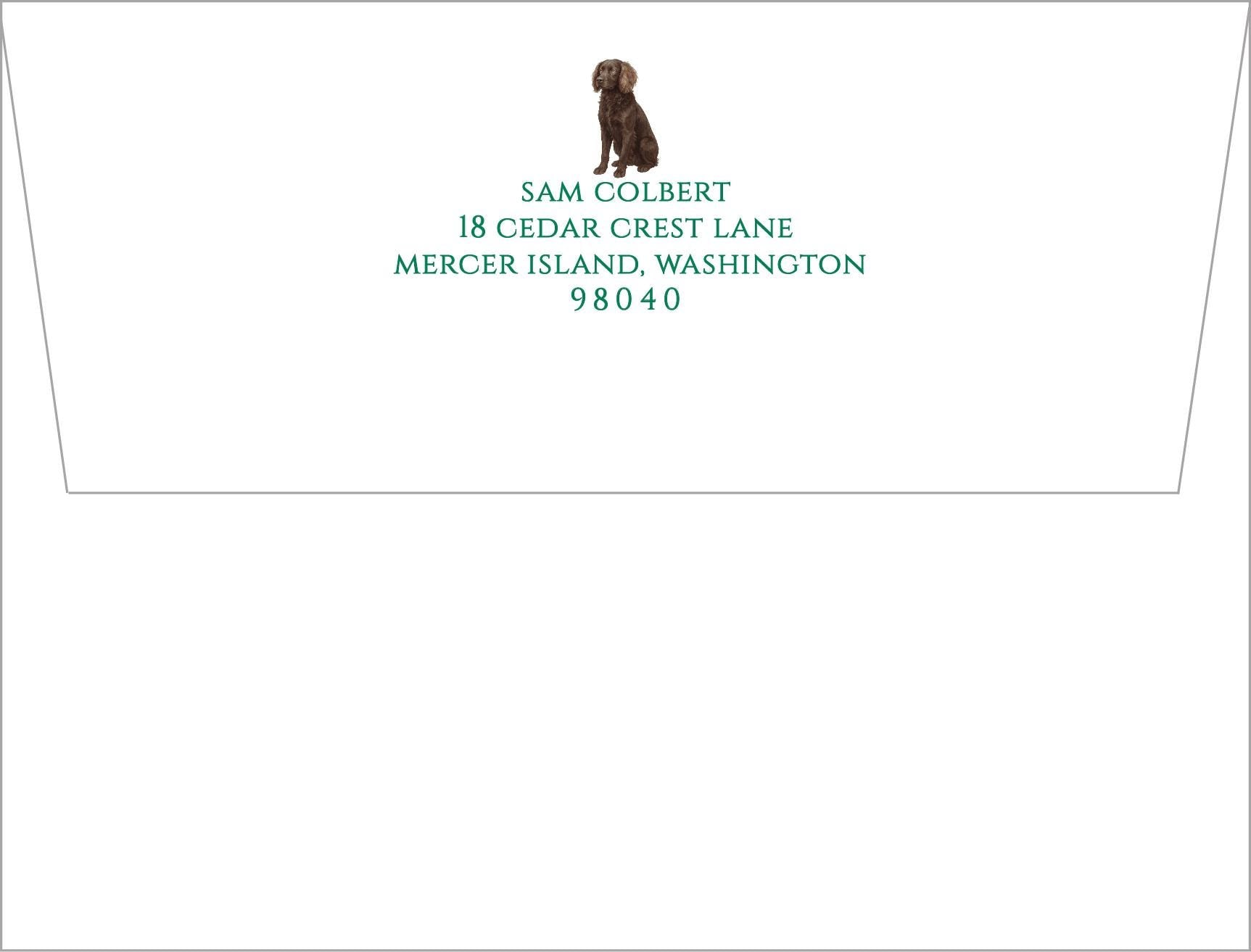 Boykin Spaniel Stationery