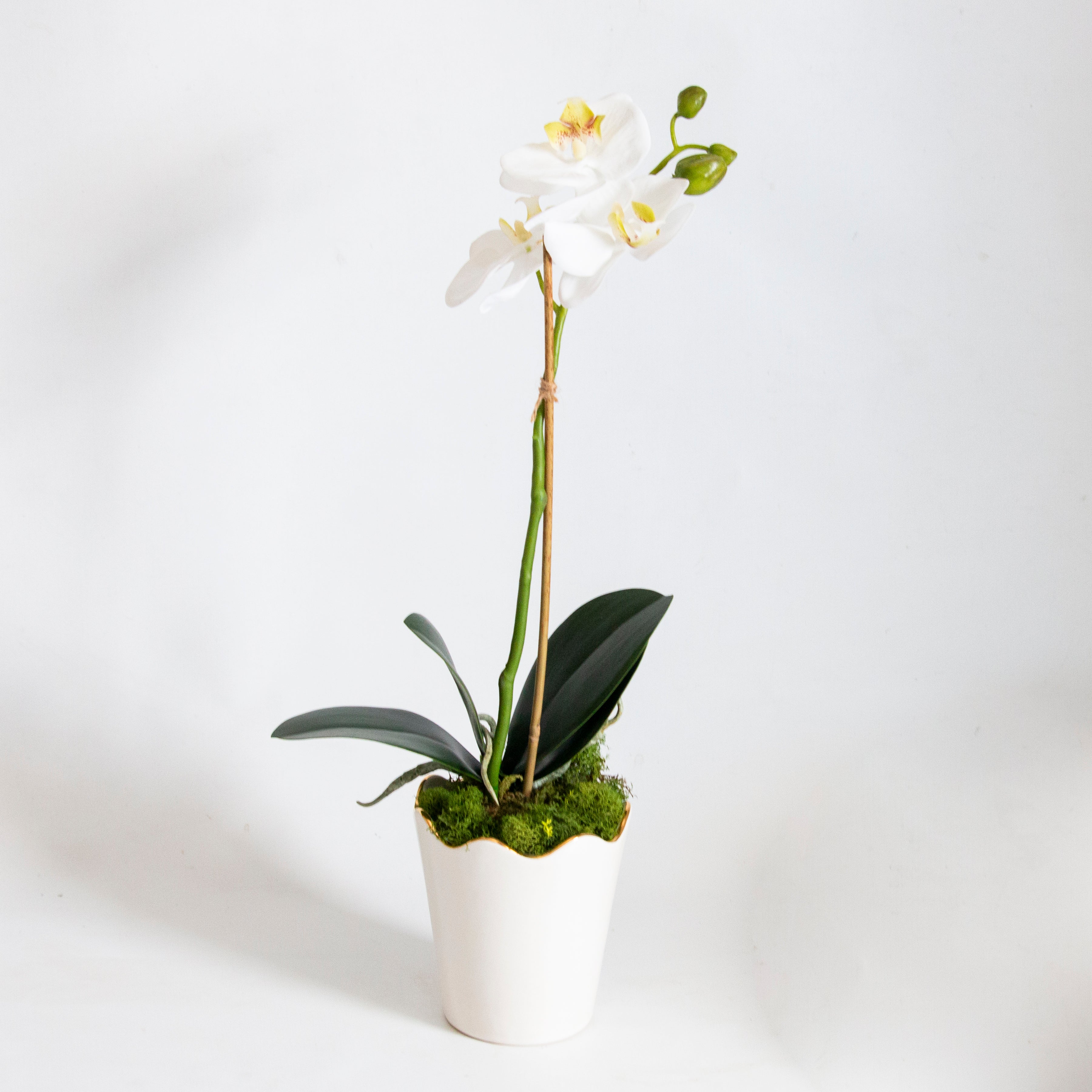 15" Faux Orchid Drop-In