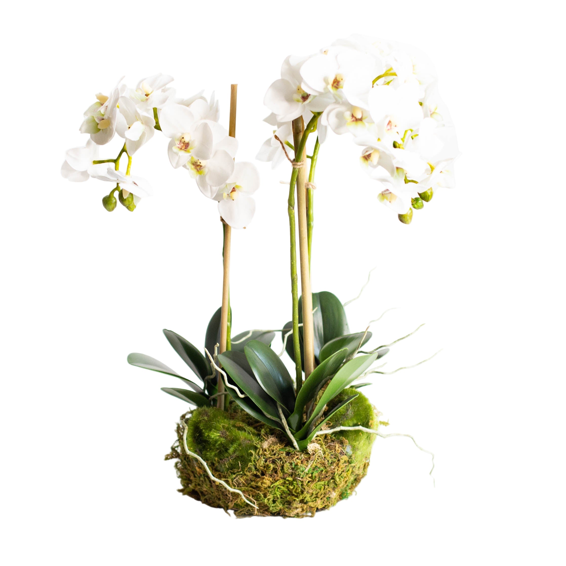16" Faux Orchid Drop-In