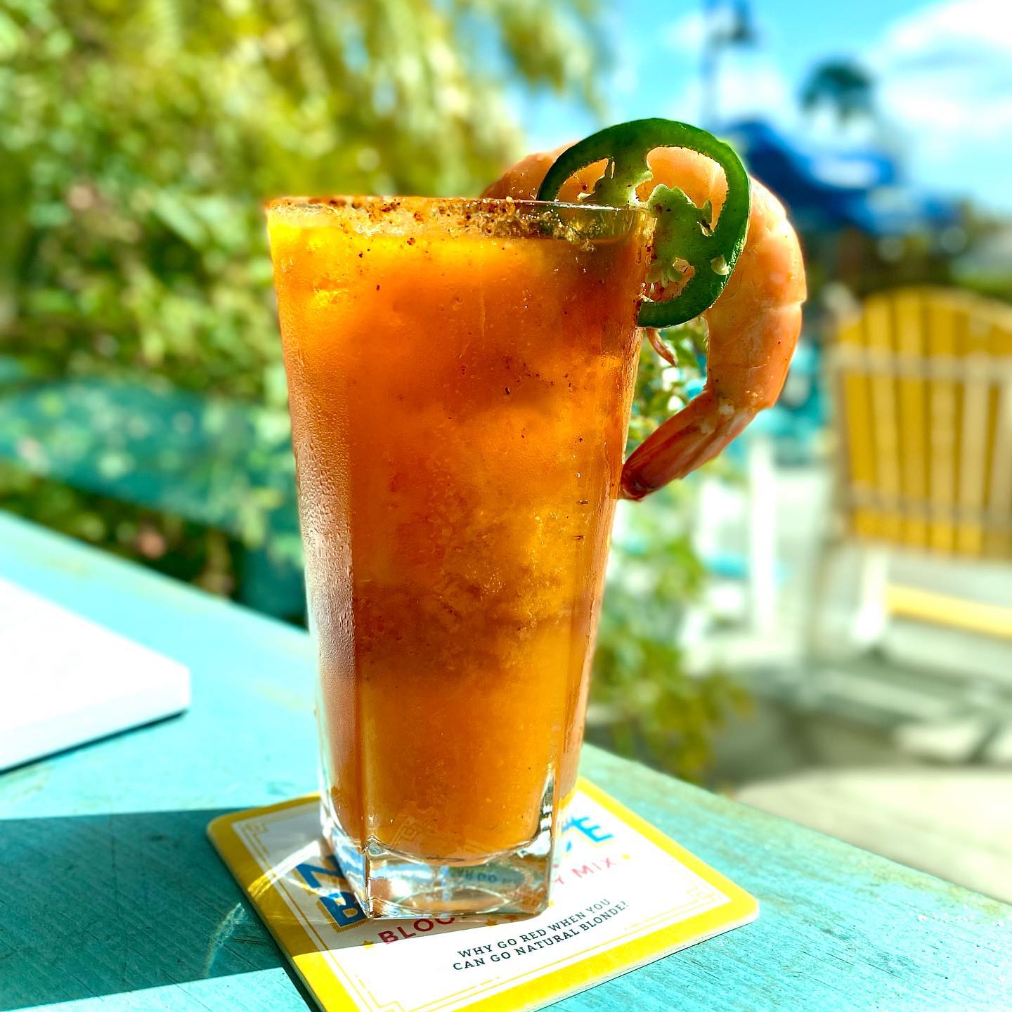 Natural Blonde Spicy Bloody Mary Mix 6-Pack