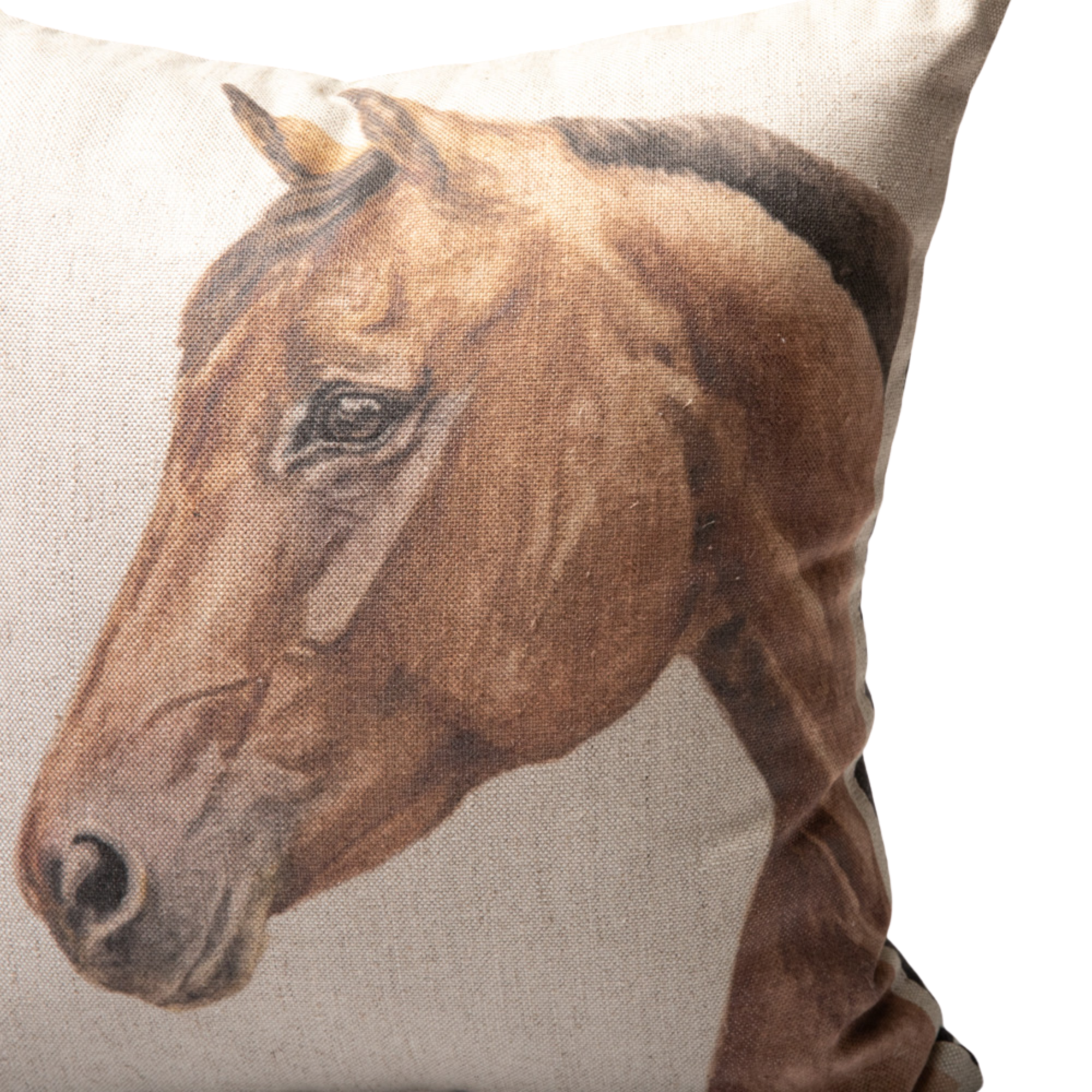 Horse Portrait Pillow