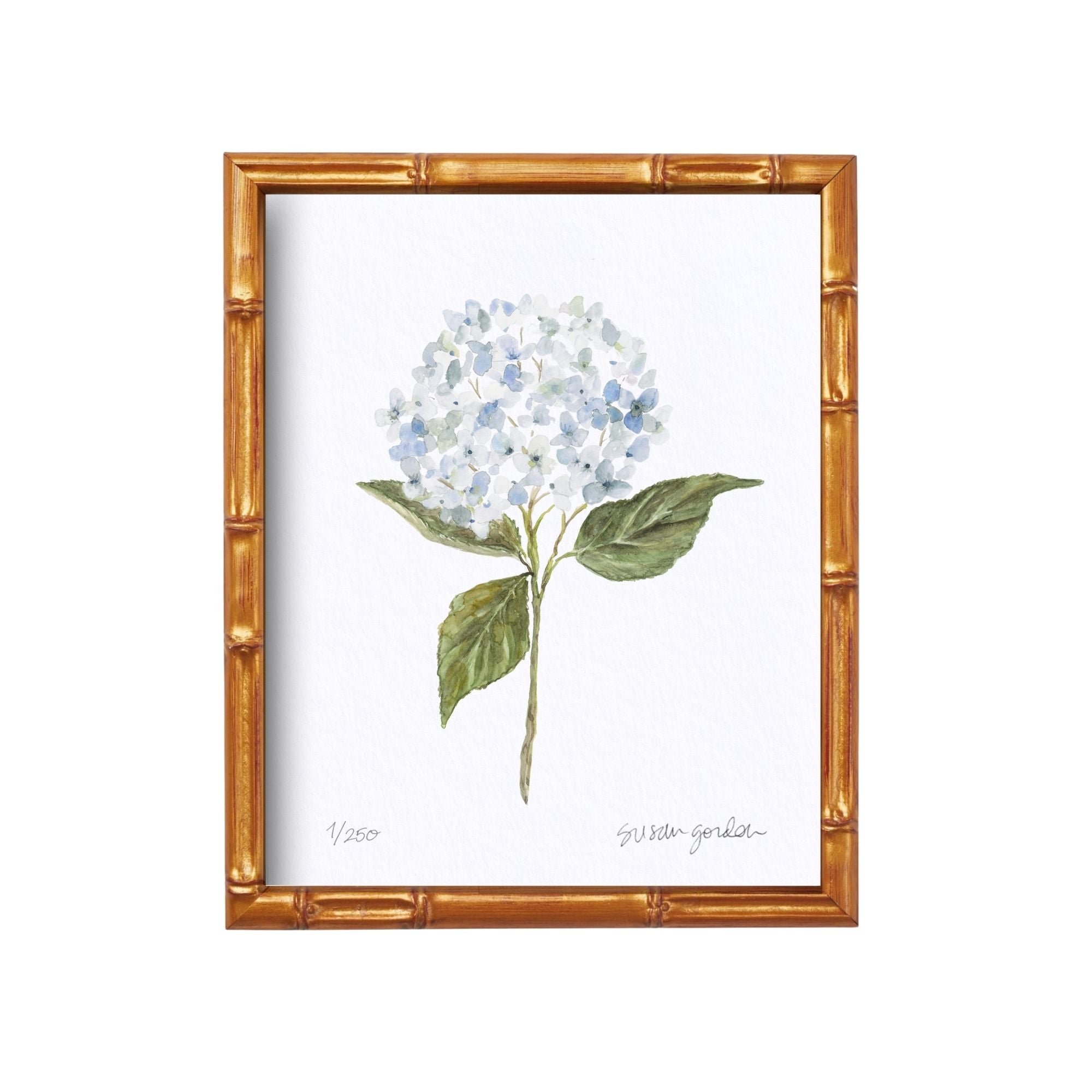 8x10 Hydrangea Print No. 1 By Susan Gordon