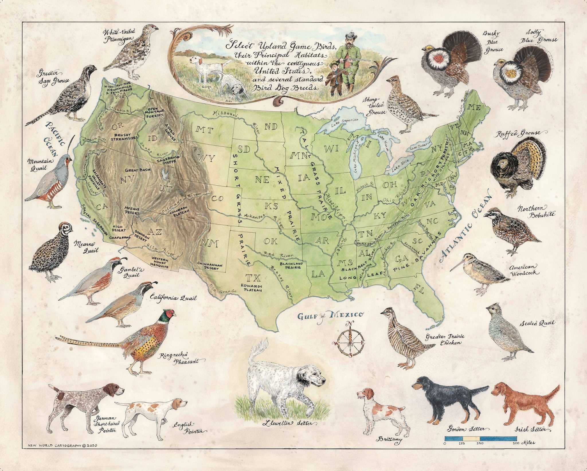 Map of the United States with illustrations of various game birds and their preferred habitats.