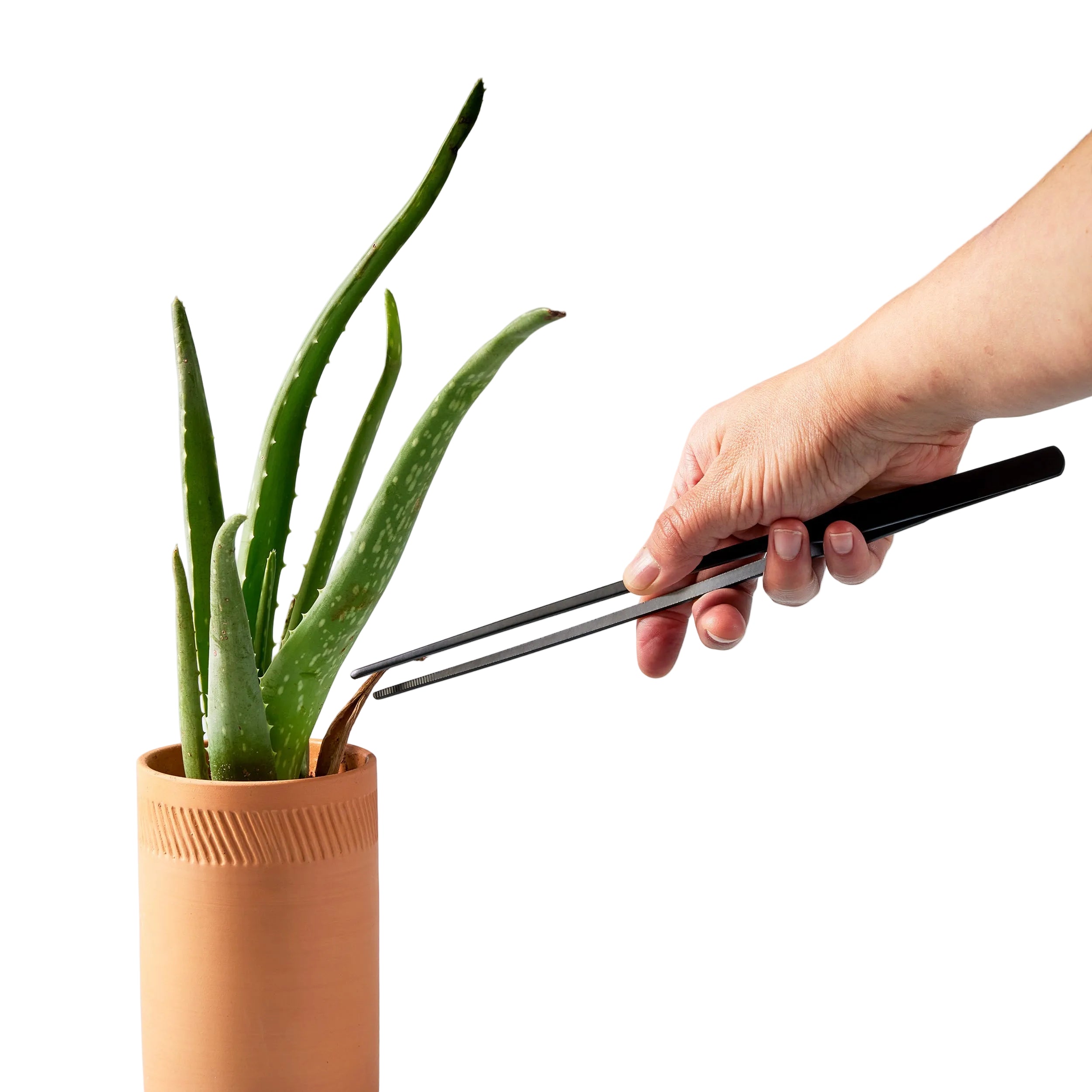 Precision Tweezers