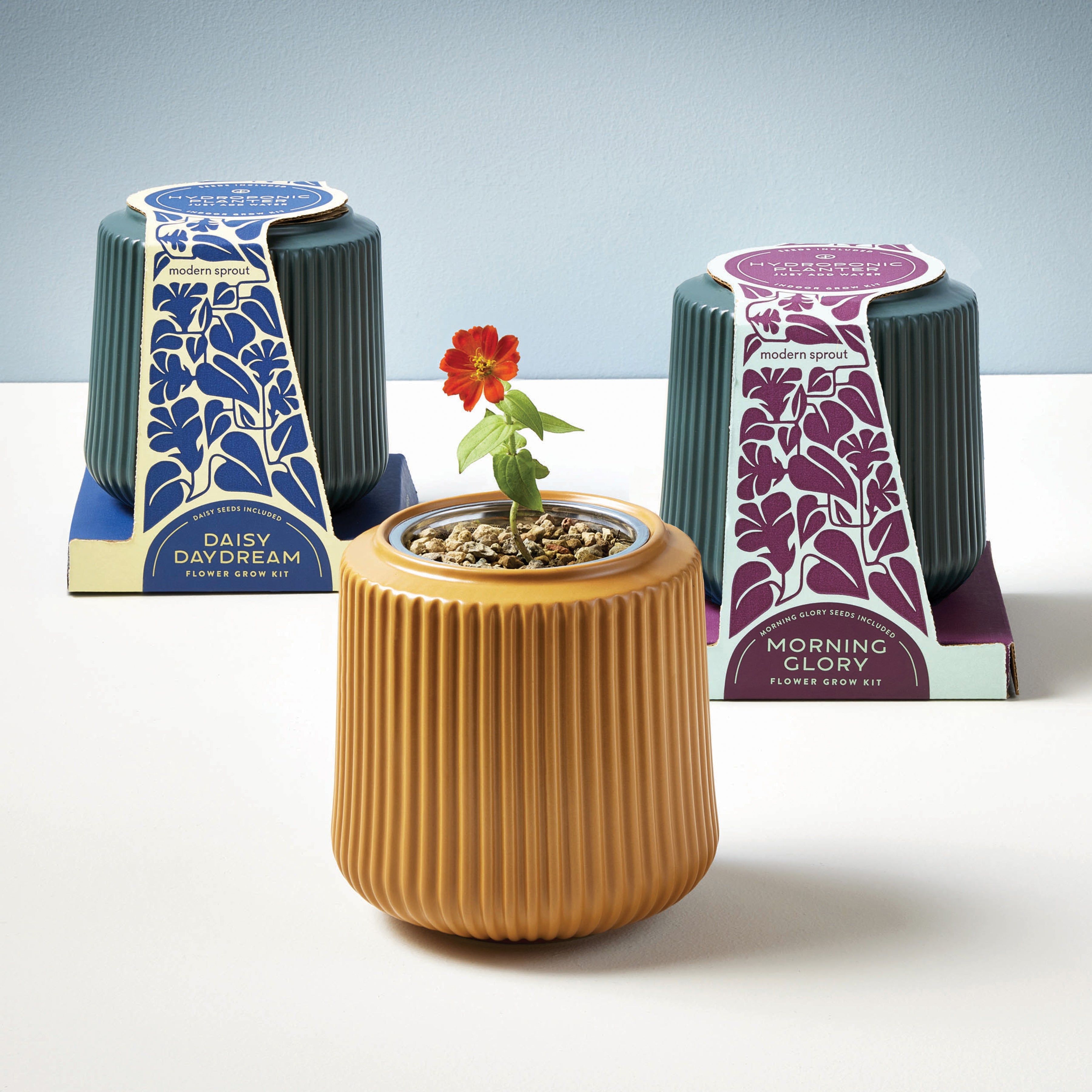 Flower Grow Kits
