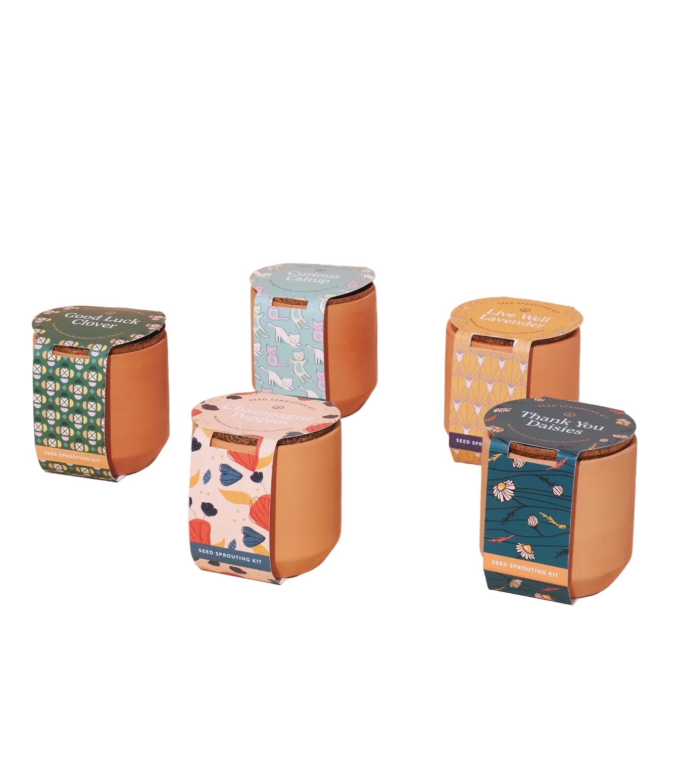 Tiny Terracotta Kits