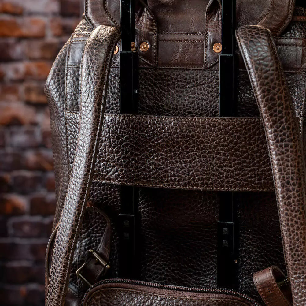 Theodore Leather Backpack