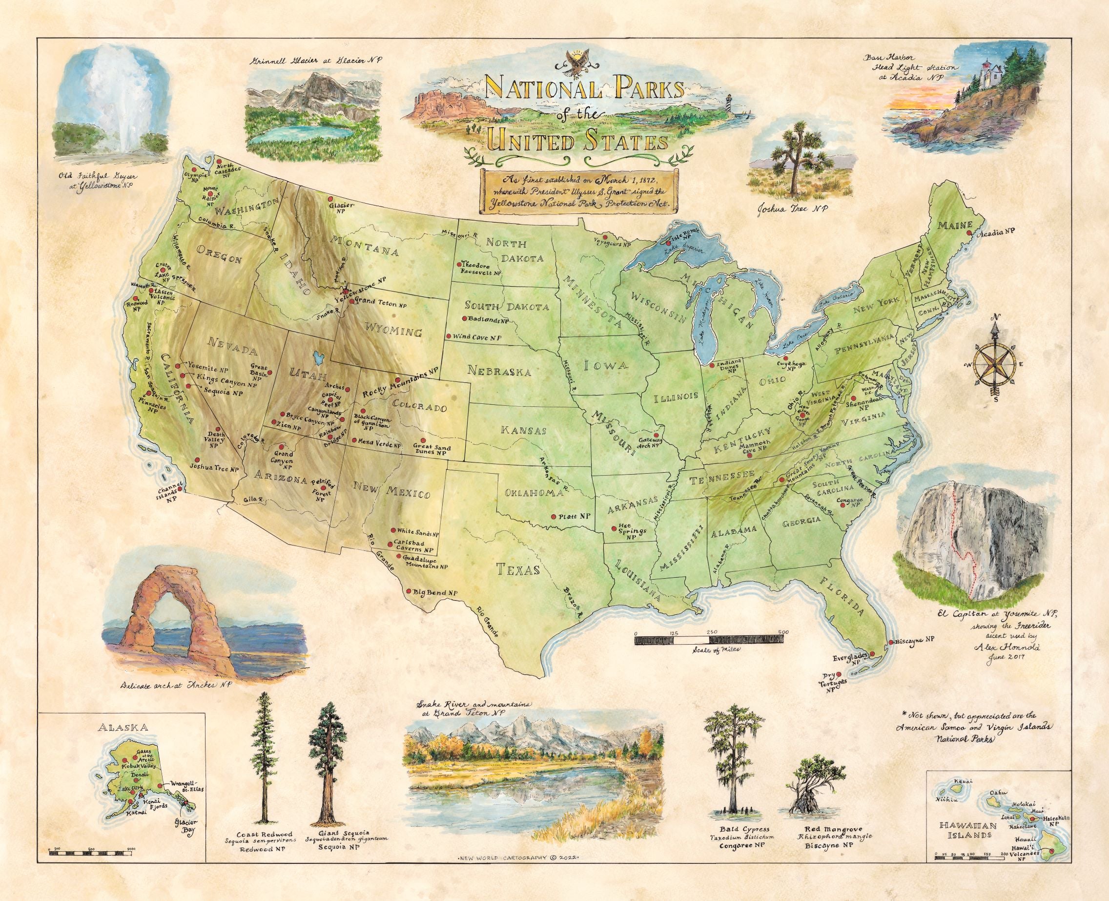 Map of the National Parks of the United States with illustrations of parks on a beige background