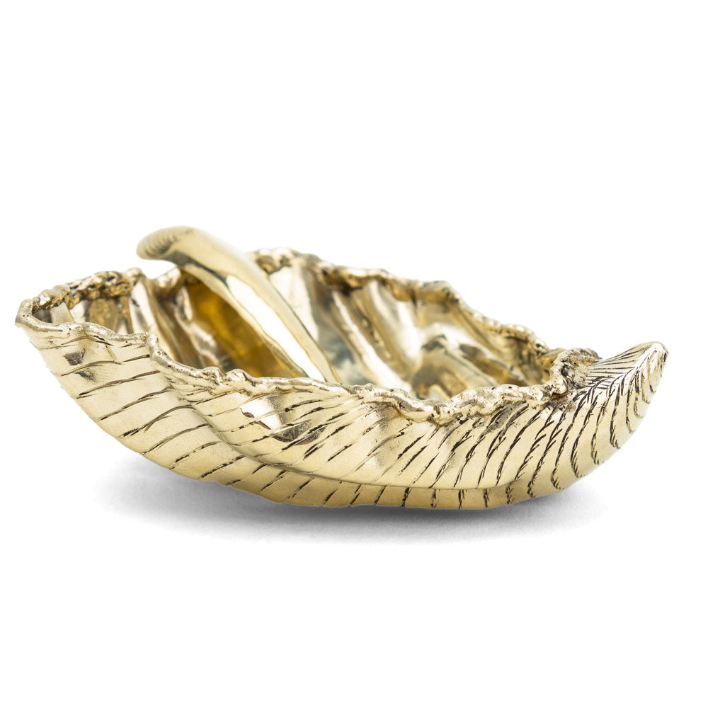 Oyster Shell Salt Cellar