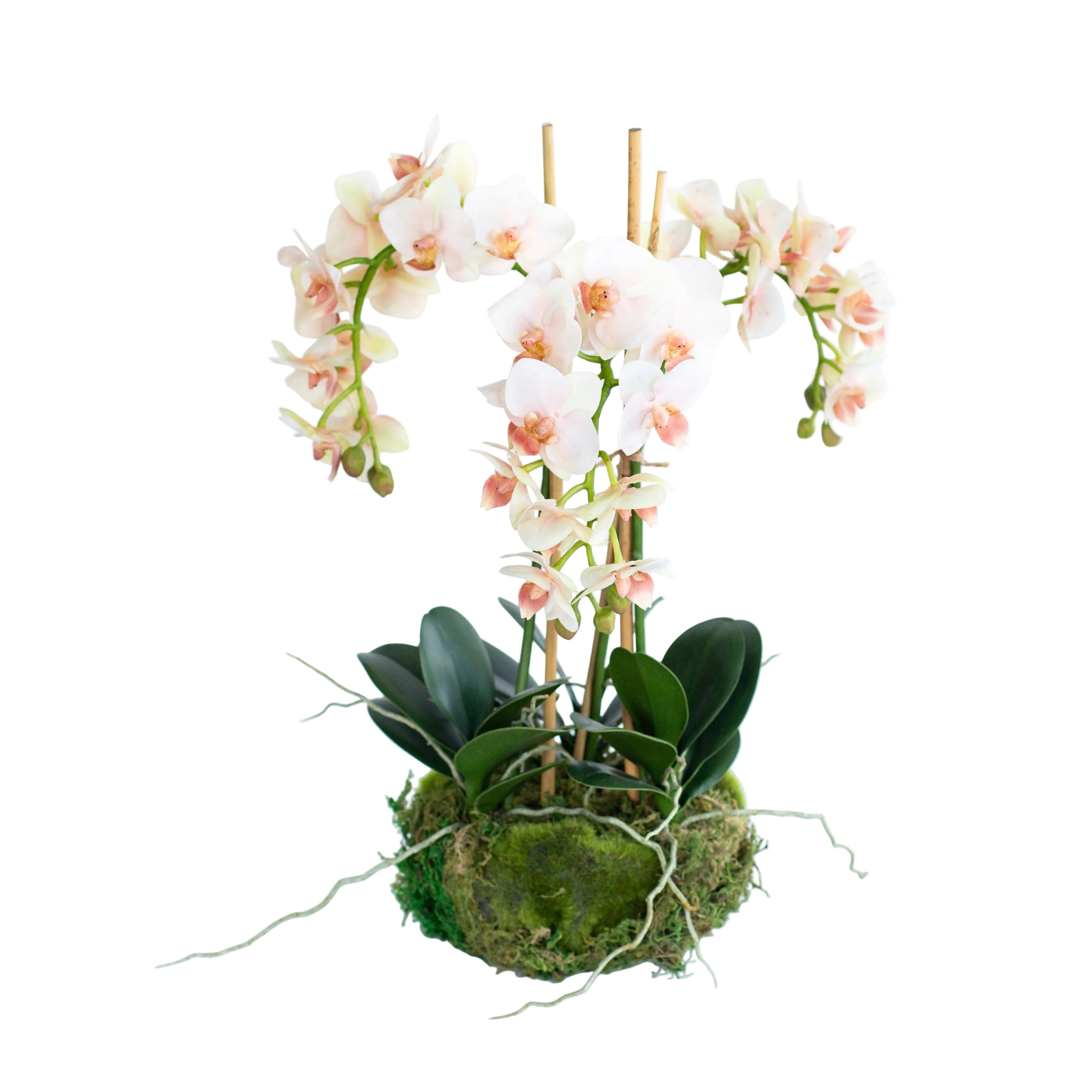 16" Faux Orchid Drop-In - Peach