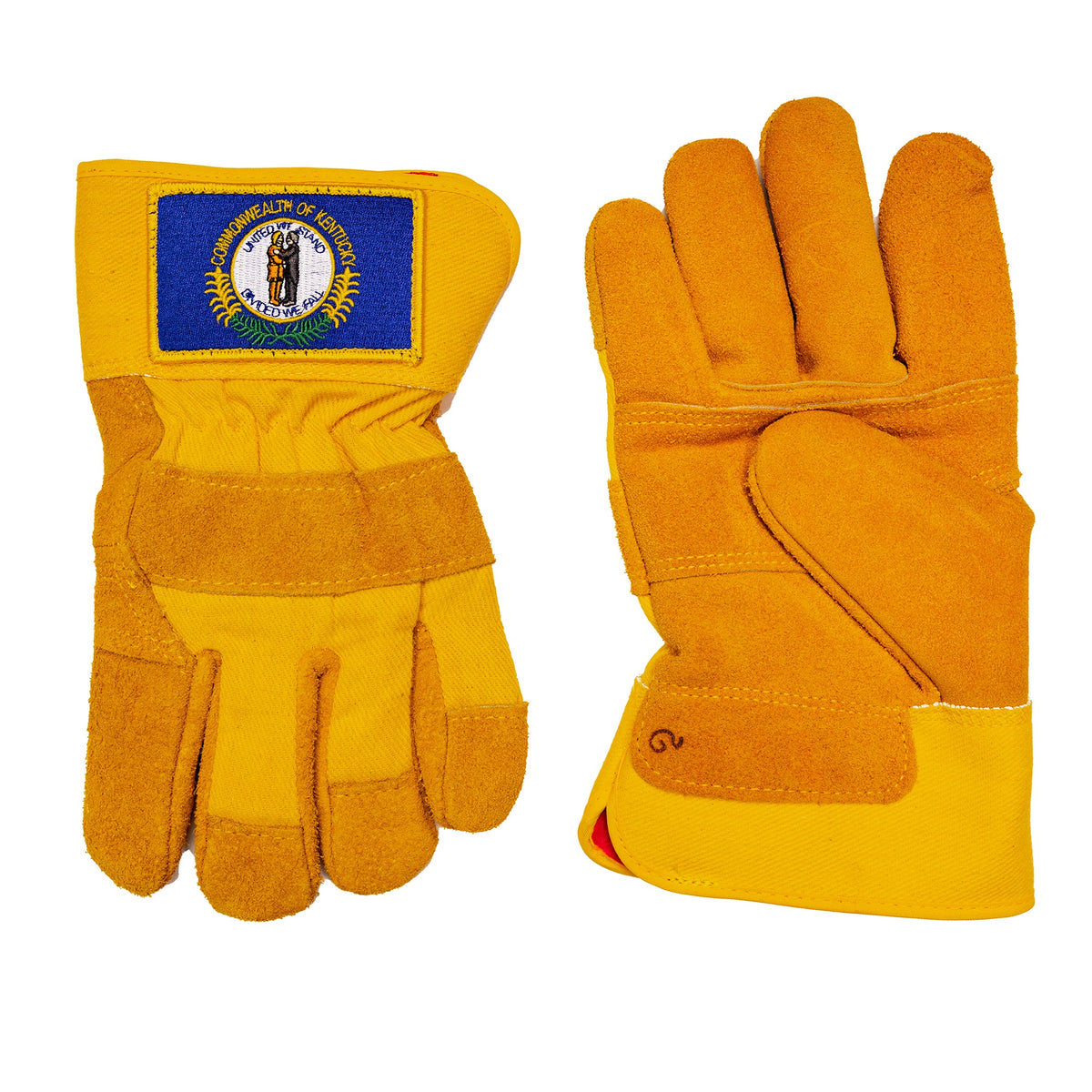 KENTUCKY GLOVES