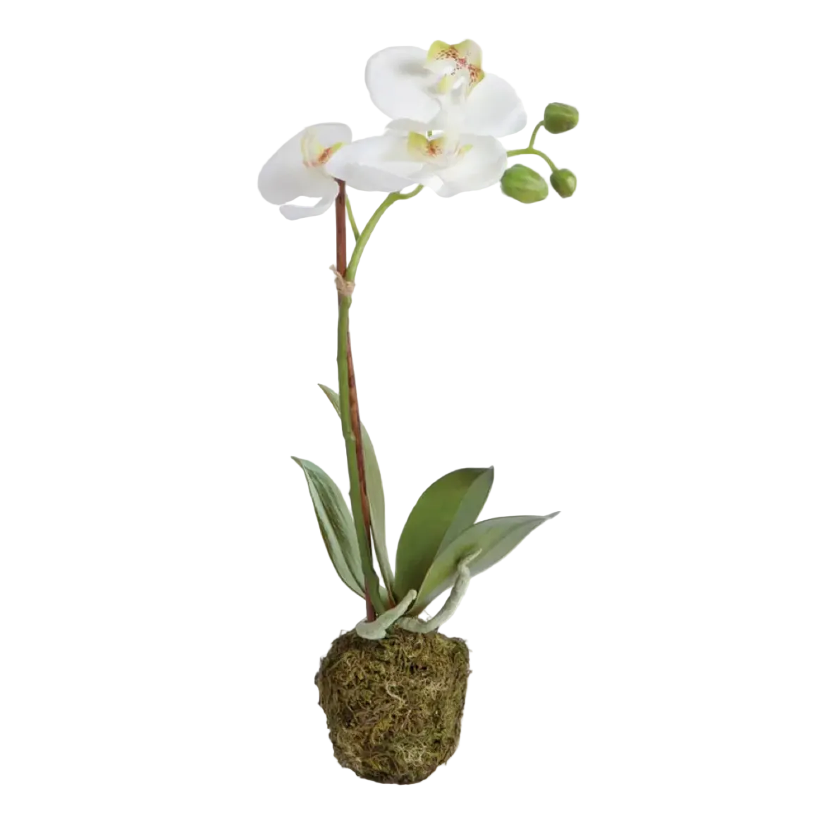 15" Faux Orchid Drop-In