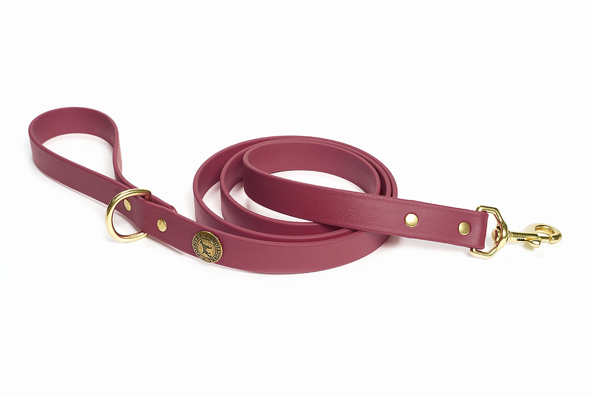 Sporting Dog Leash