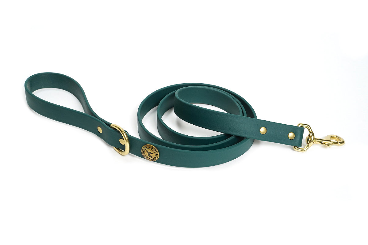 Sporting Dog Leash