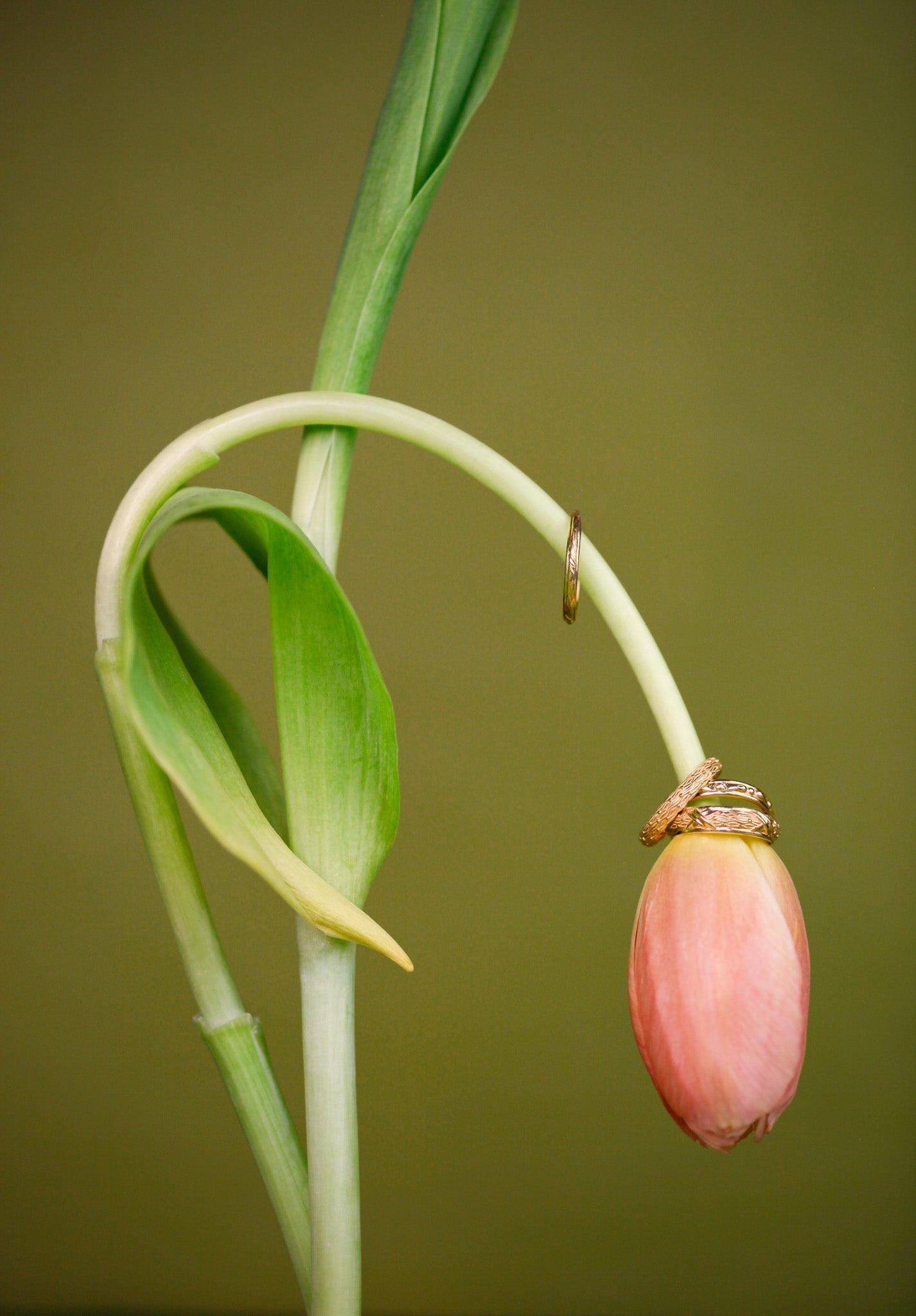 Fleur Band